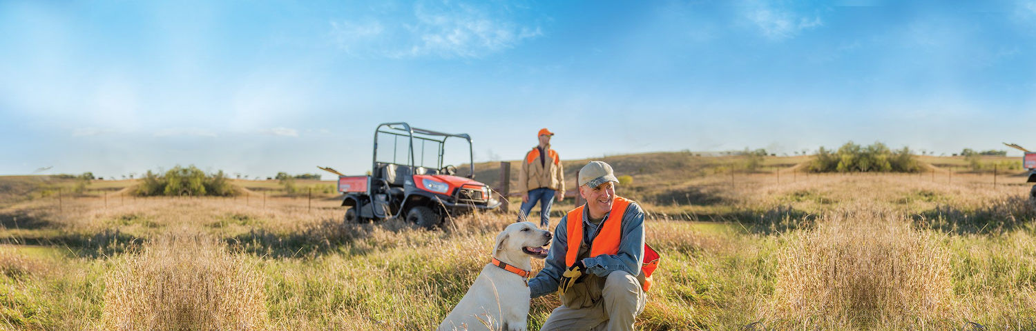 Field dog